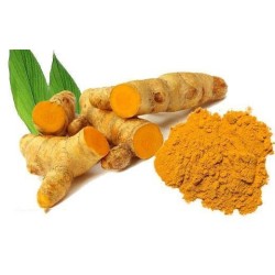 Phytospagyrie: Curcuma bio