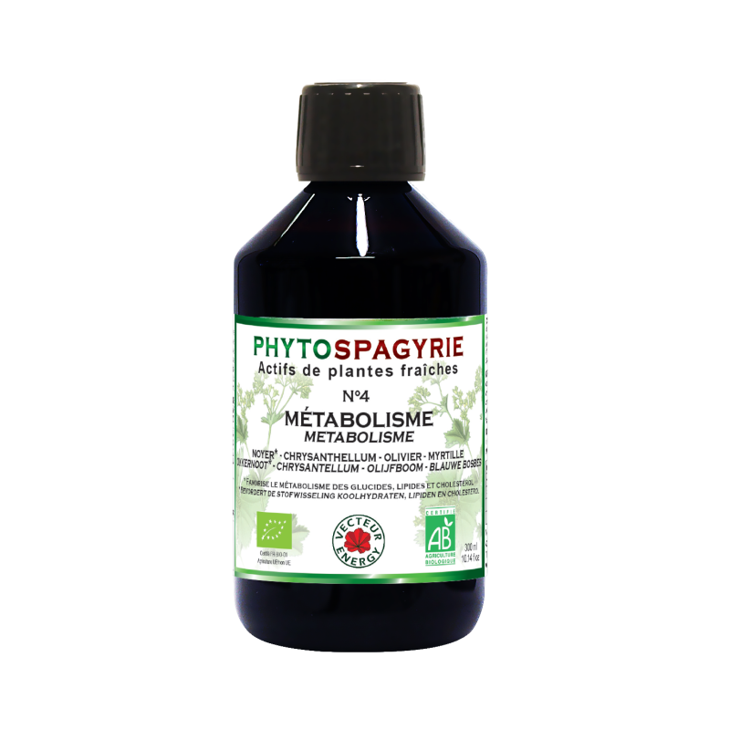 Phytospagyrie: Synergie N°4 Métabolisme (Graisses et sucres)