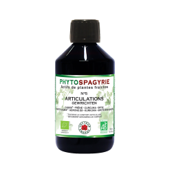 Phytospagyrie: Synergie N°5 Articulations