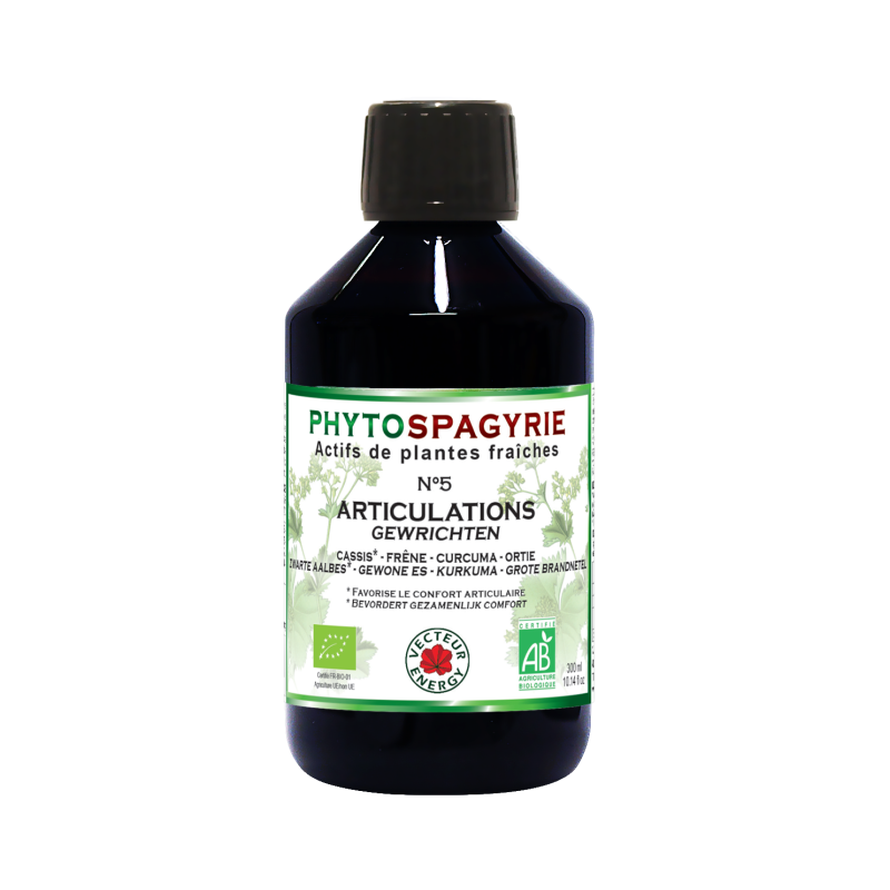 Phytospagyrie: Synergie N°5 Articulations