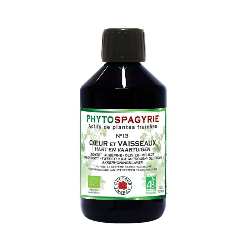 Phytospagyrie: Synergie N°13 Bien être cardio-vasculaire