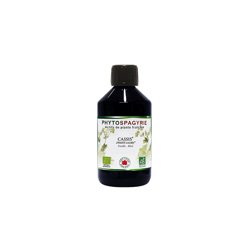 Phytospagyrie  Cassis  bio