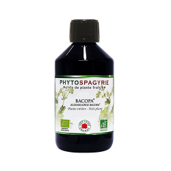 Phytospagyrie: Bacopa bio