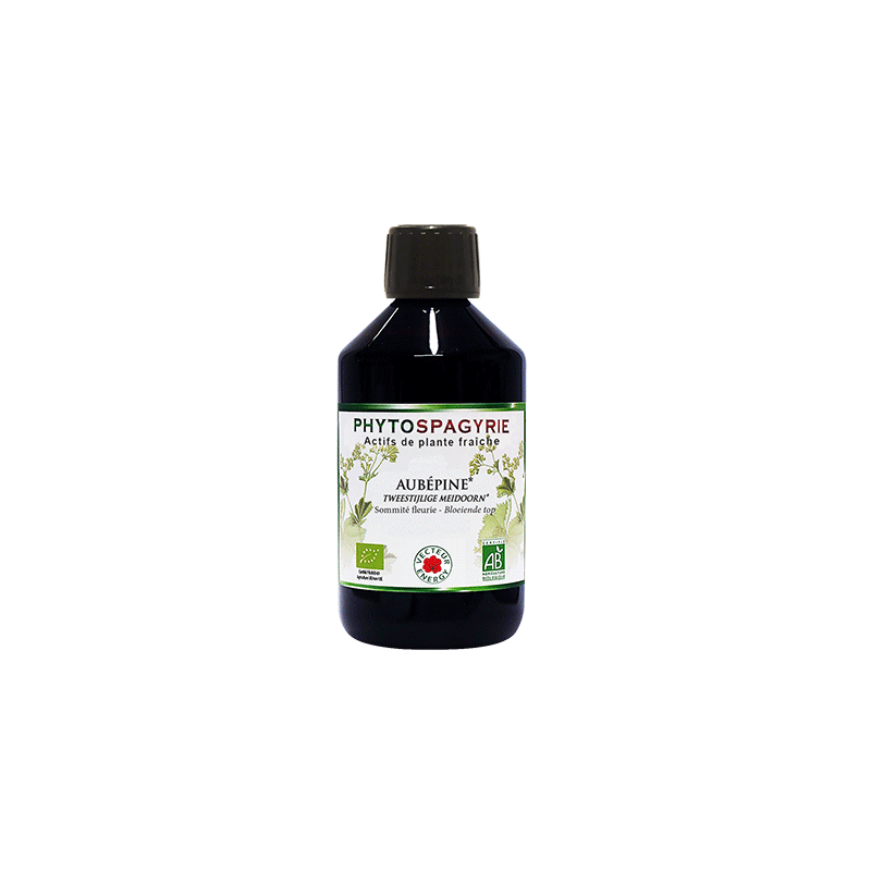 Phytospagyrie- Ginkgo biloba bio