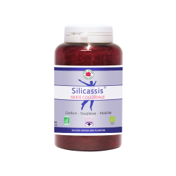 Silicium organique: Silicassis 180 gelules ( anciennement Arthrosil)