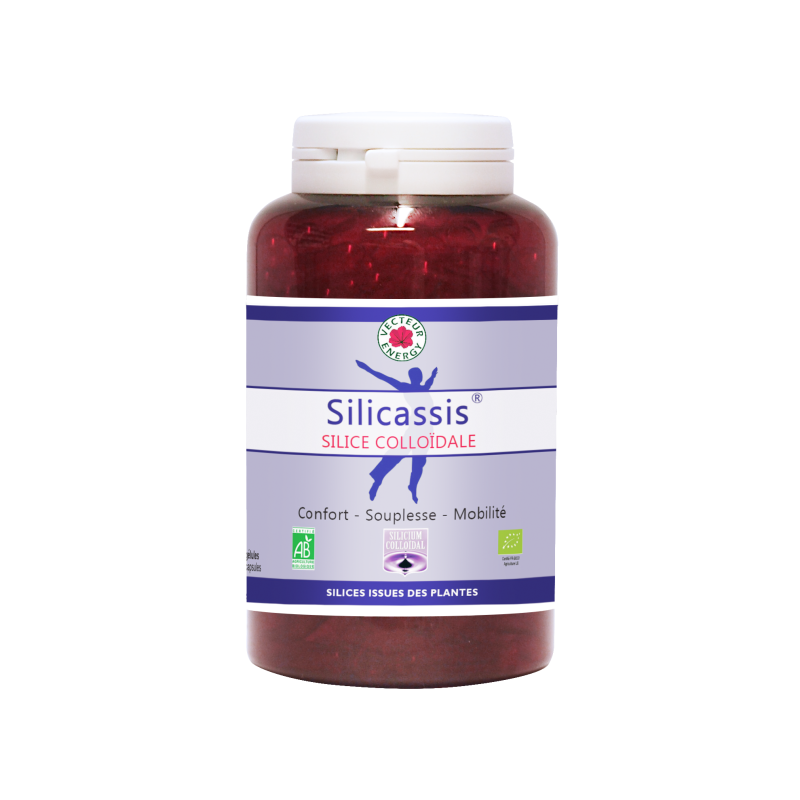 Silicium organique: Silicassis 180 gelules ( anciennement Arthrosil)