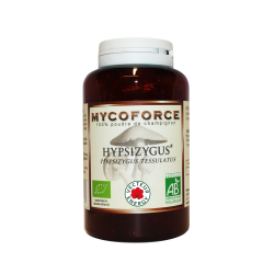 Mycoforce: Hypsizygus