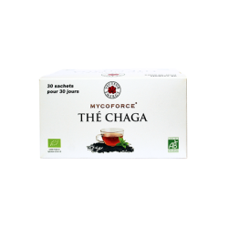 Mycothérapie :Thé Chaga