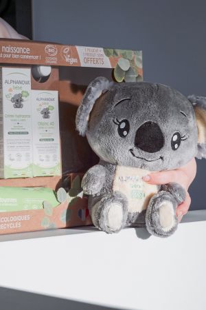 Peluche Koala 
