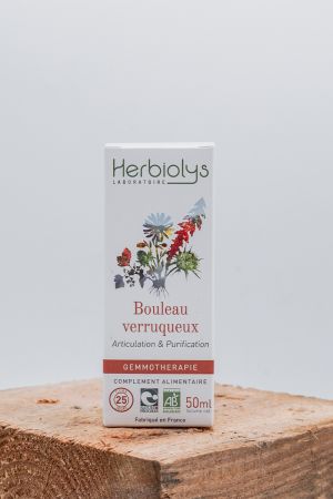  Bouleau Verruqueux Bio 