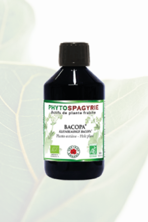 Phytospagyrie Bacopa Bio
