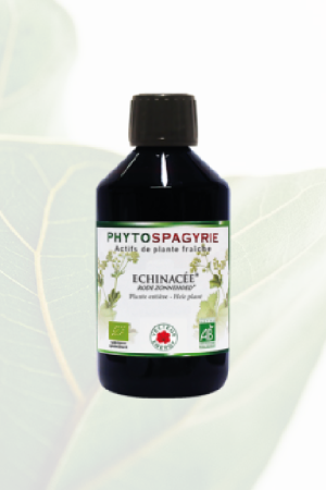 Phytospagyrie Echinacée Bio
