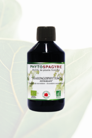 Phytospagyrie Harpagophytum Bio