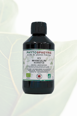 Phytospagyrie N°2 Masculin Bio