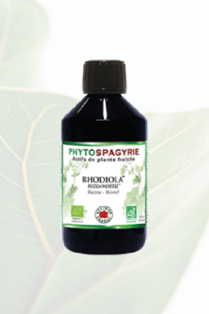 Phytospagyrie Rhodiola Bio